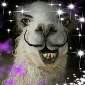 Meet your Posher, Karin